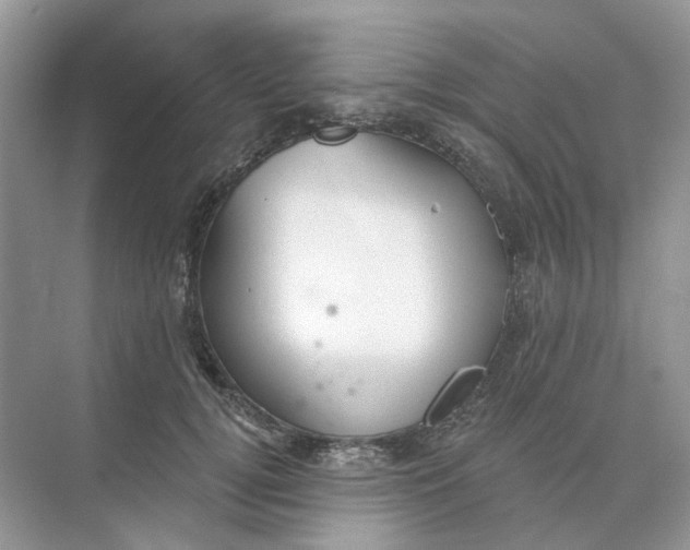 X0000073870752200608312052