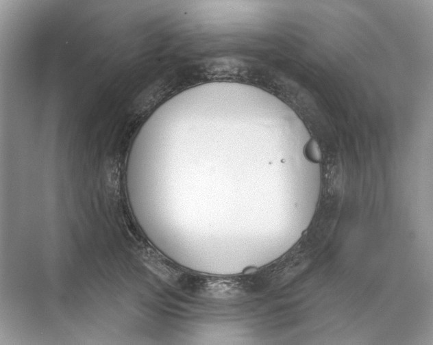 X0000073870753200608312052