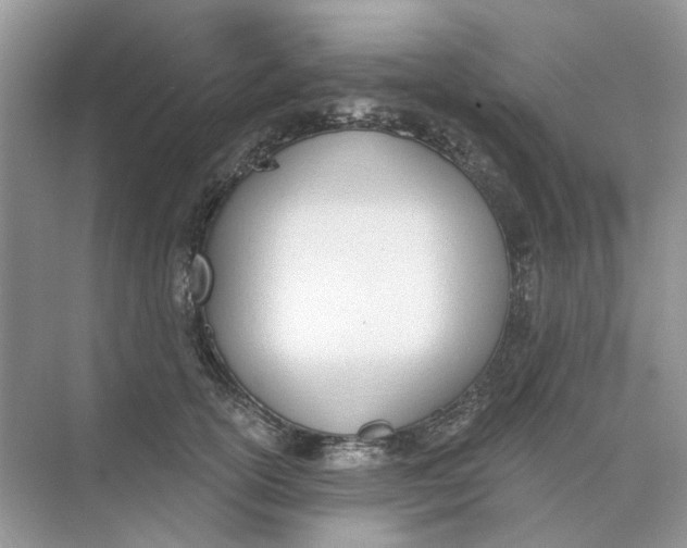 X0000073870754200608312052