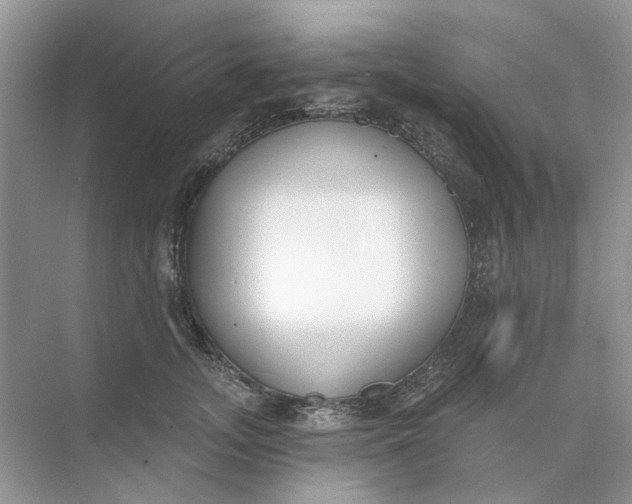 X0000073870755200608312052