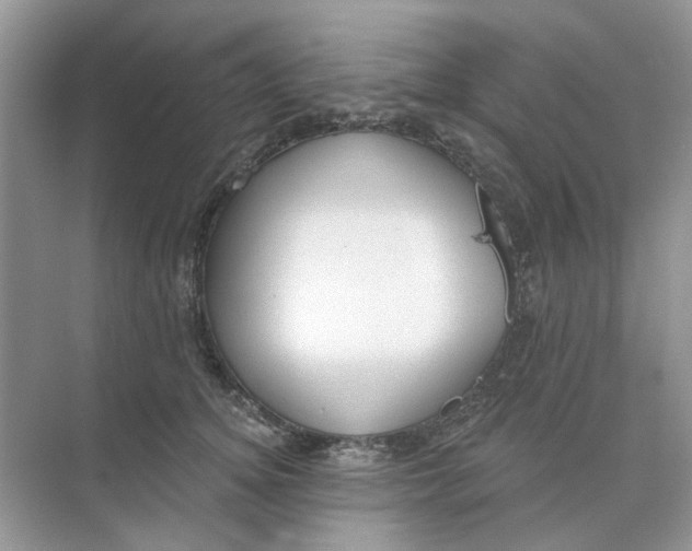 X0000073870756200608312052