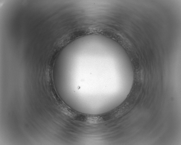 X0000073870757200608312052