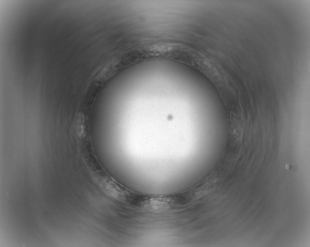 X0000073870758200608312052