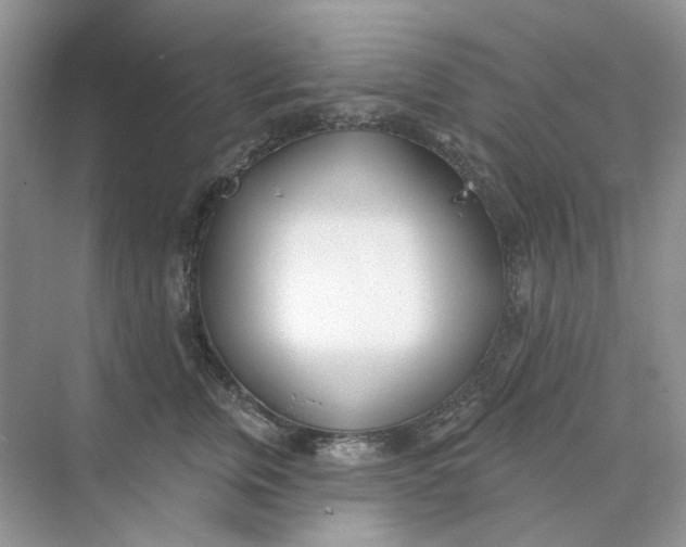 X0000073870759200608312052