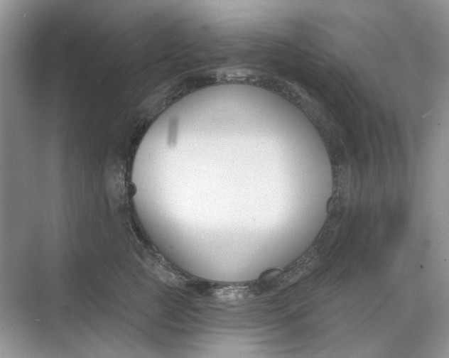 X0000073870761200608312052