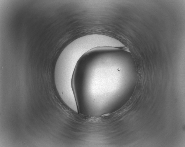 X0000073870762200608312052