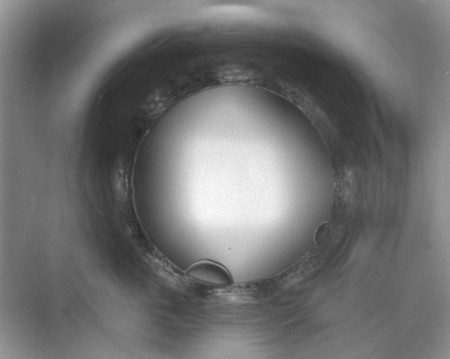 X0000073870763200608312052