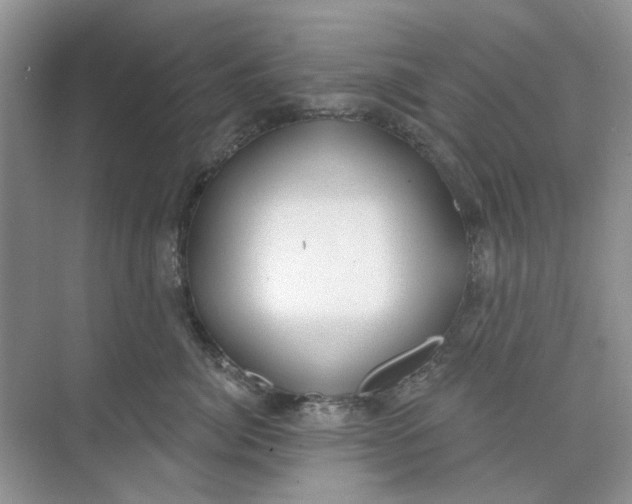 X0000073870764200608312052