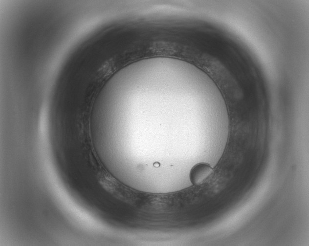 X0000073870765200608312052