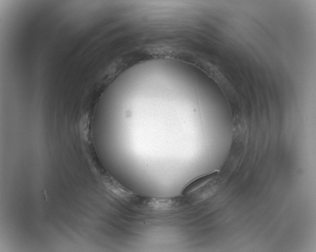 X0000073870767200608312052