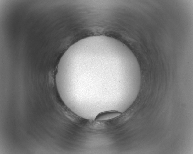 X0000073870768200608312052