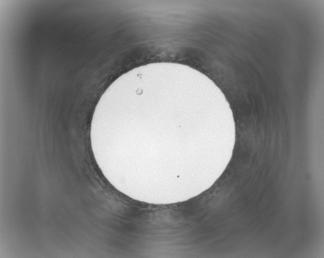 X0000073870769200608312051