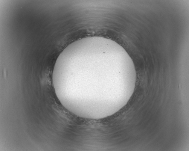 X0000073870770200608312051