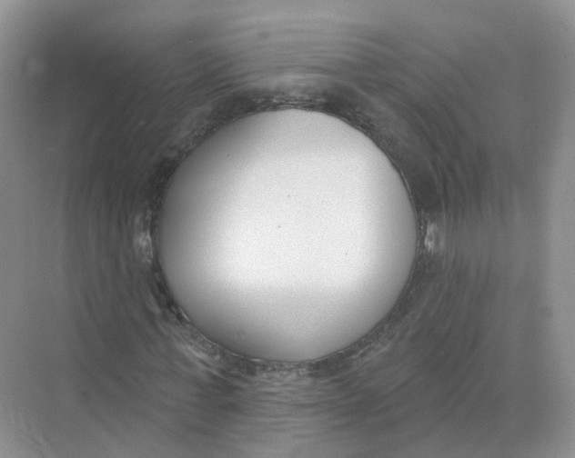 X0000073870771200608312051