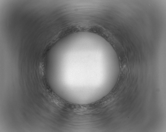 X0000073870772200608312051