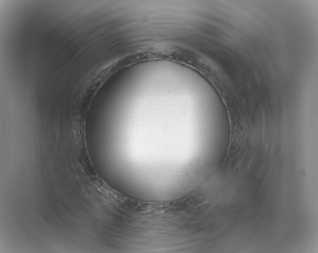 X0000073870773200608312051