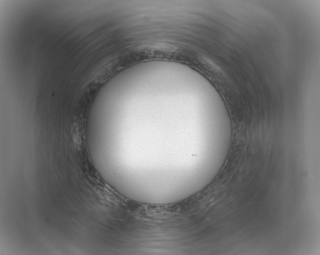 X0000073870774200608312051