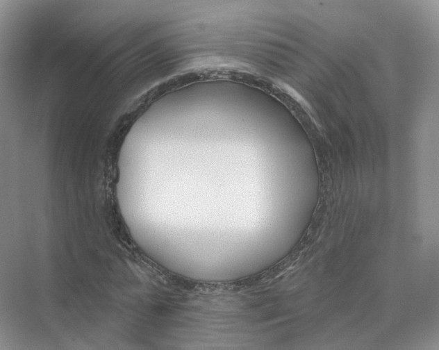 X0000073870775200608312051