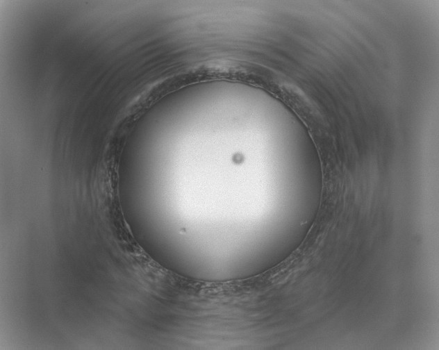 X0000073870776200608312051