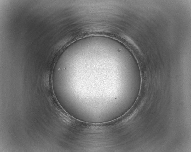 X0000073870777200608312051