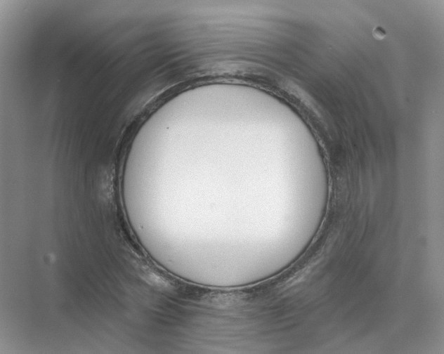 X0000073870778200608312051