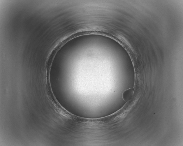 X0000073870781200608312051