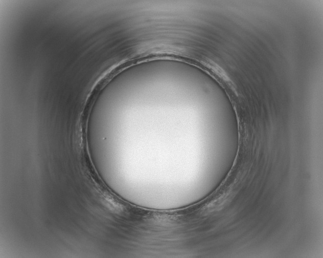 X0000073870782200608312051