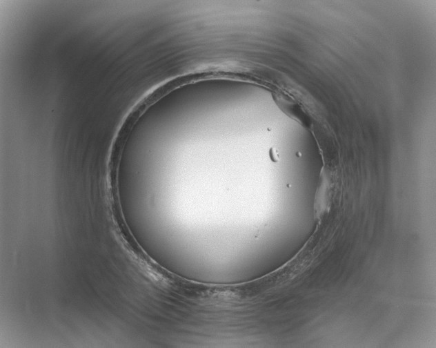 X0000073870784200608312051