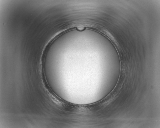 X0000073870787200608312051