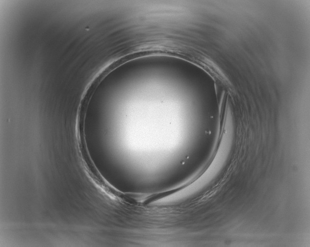 X0000073870788200608312051