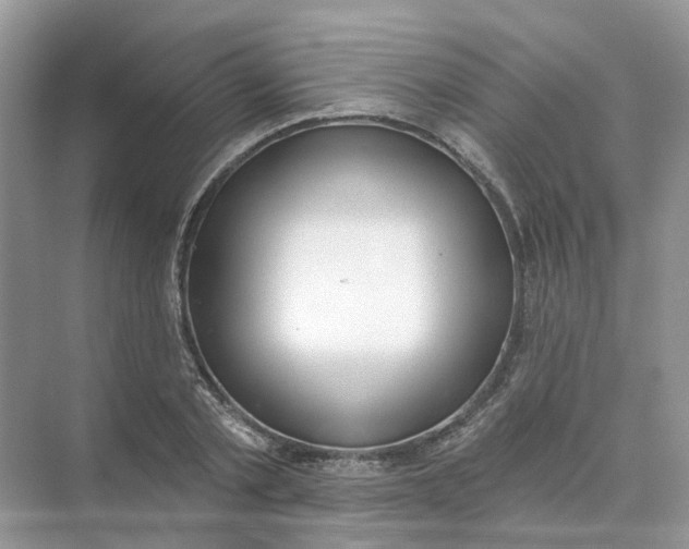 X0000073870789200608312051