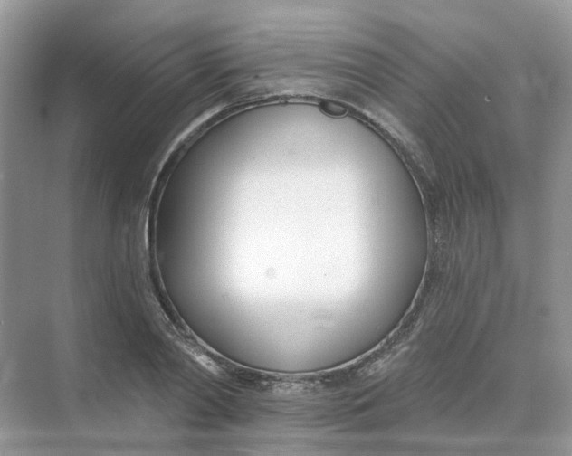 X0000073870790200608312051