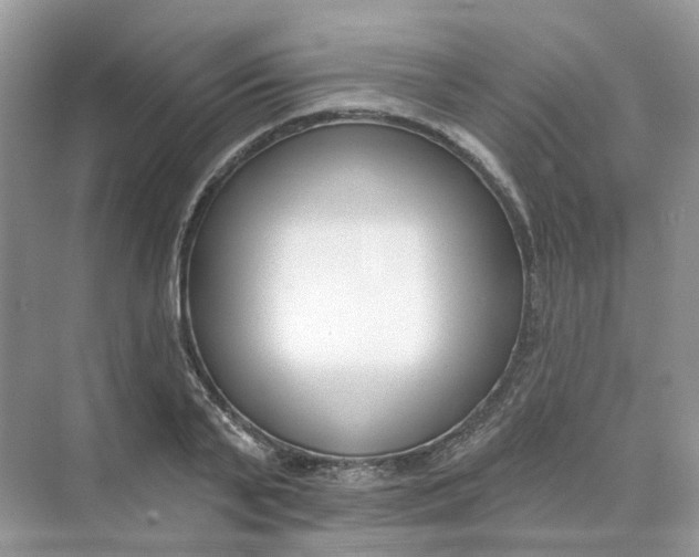 X0000073870791200608312051