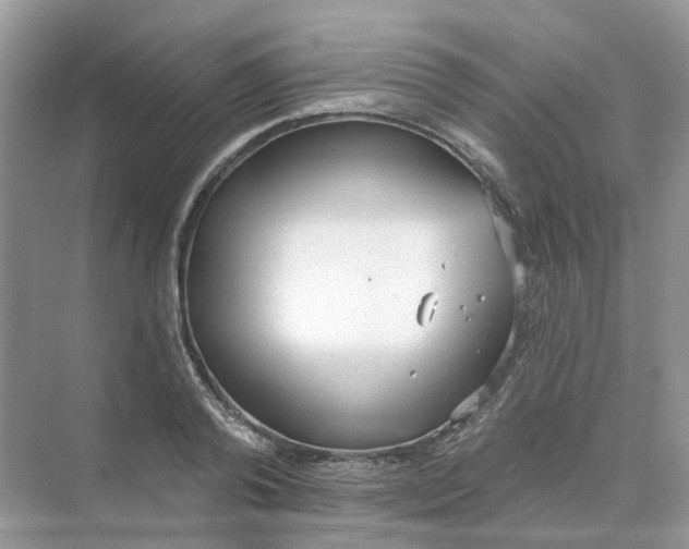 X0000073870792200608312051