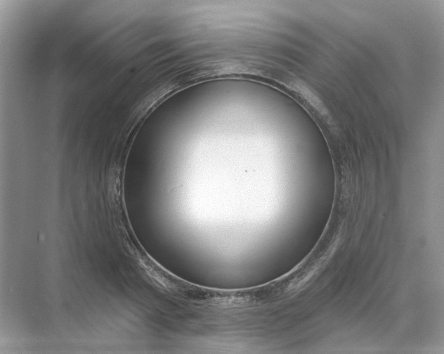 X0000073870793200608312051