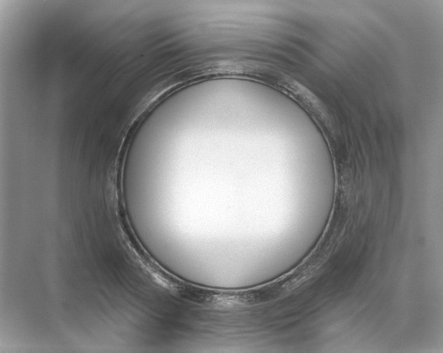 X0000073870794200608312051