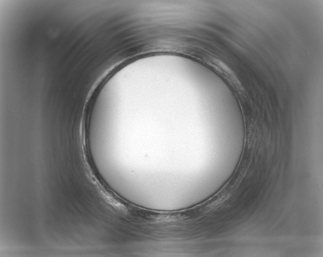 X0000073870796200608312051