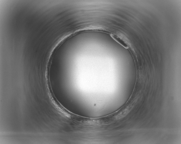 X0000073870797200608312051