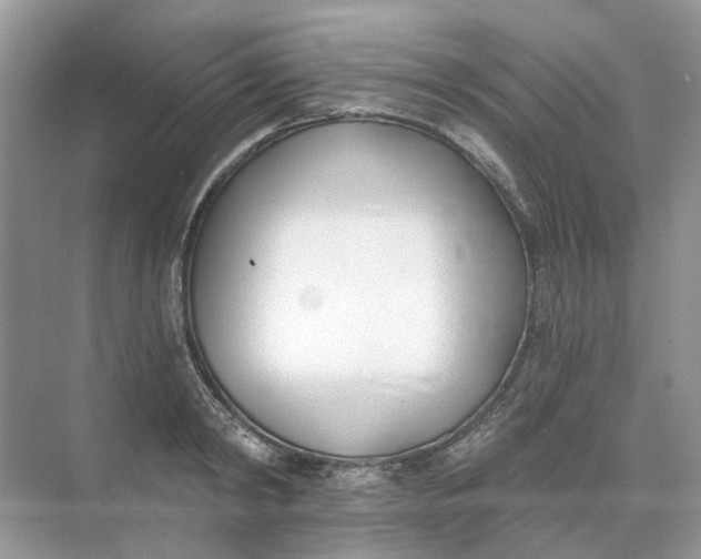 X0000073870798200608312051