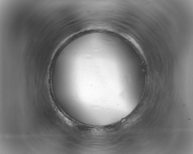 X0000073870799200608312051