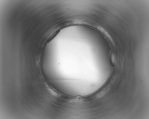 X0000073870801200608312051