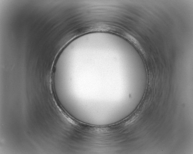 X0000073870802200608312051