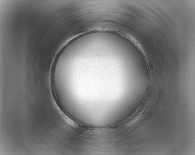 X0000073870803200608312051