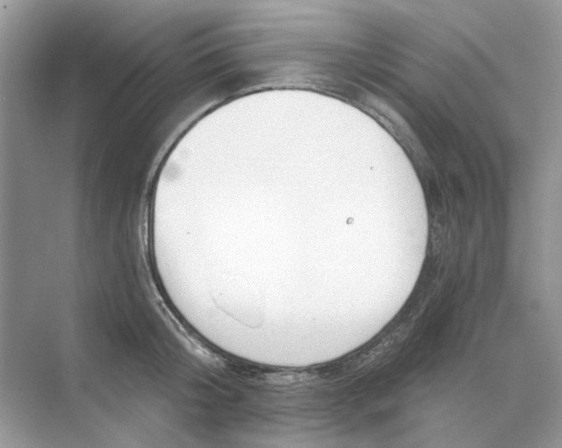 X0000073870804200608312051