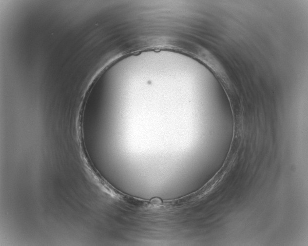 X0000073870806200608312051