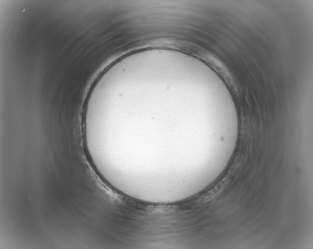 X0000073870808200608312051