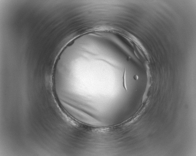 X0000073870810200608312051