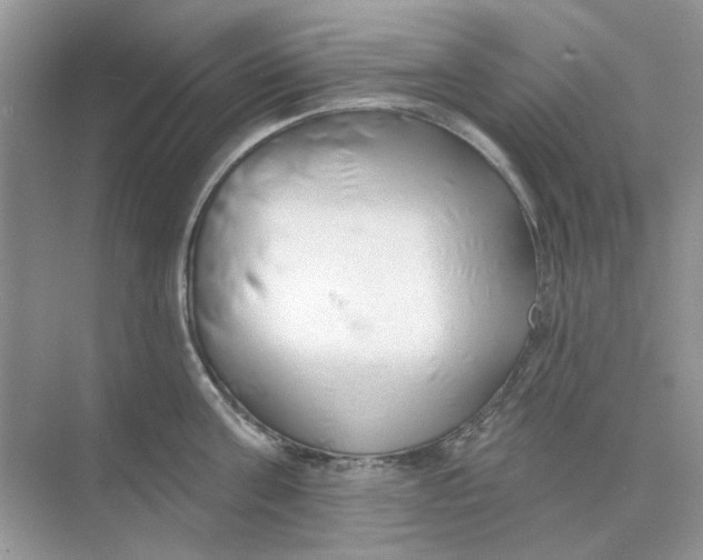 X0000073870811200608312051