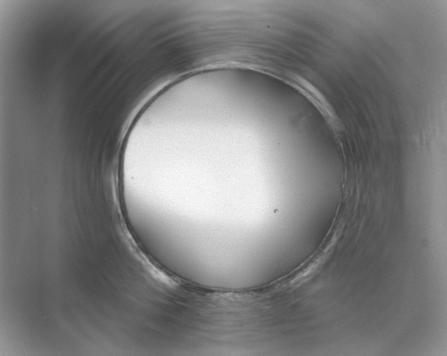 X0000073870812200608312051