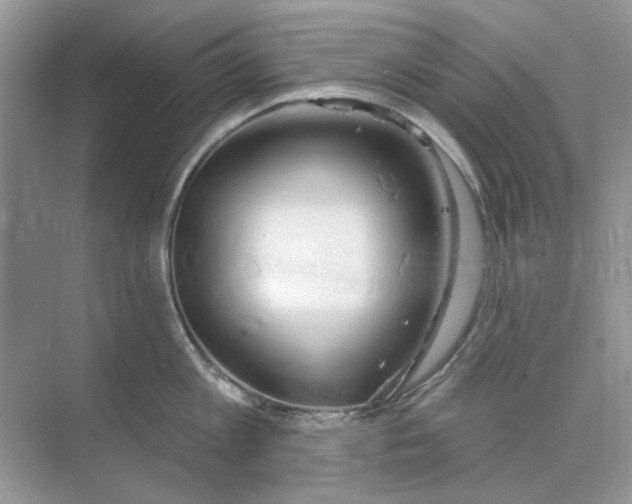 X0000073870813200608312051